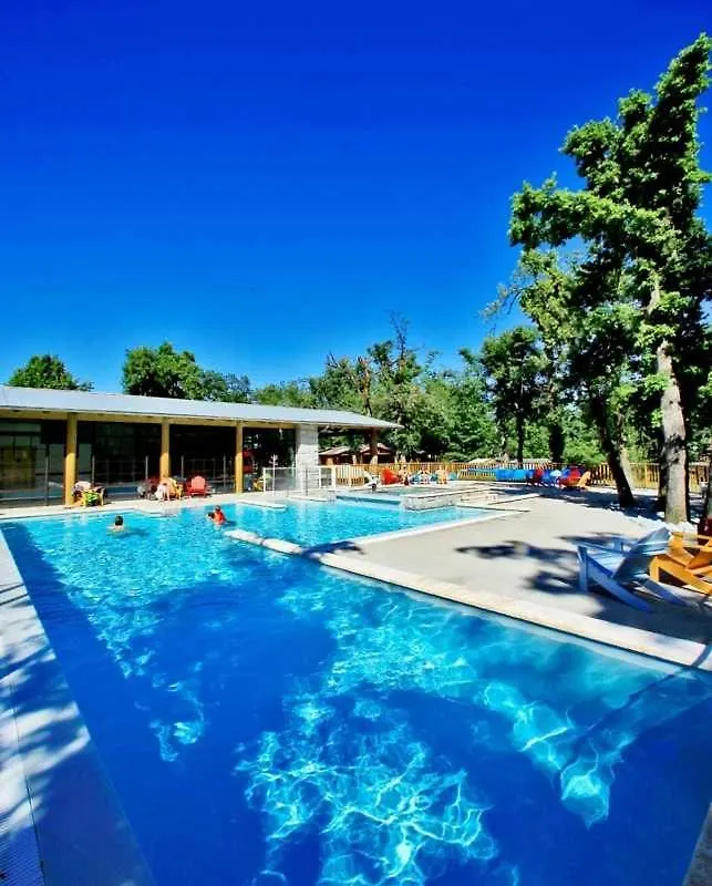 Chalet 4 Etoiles - Piscine - Ef0Ccd Albi France
