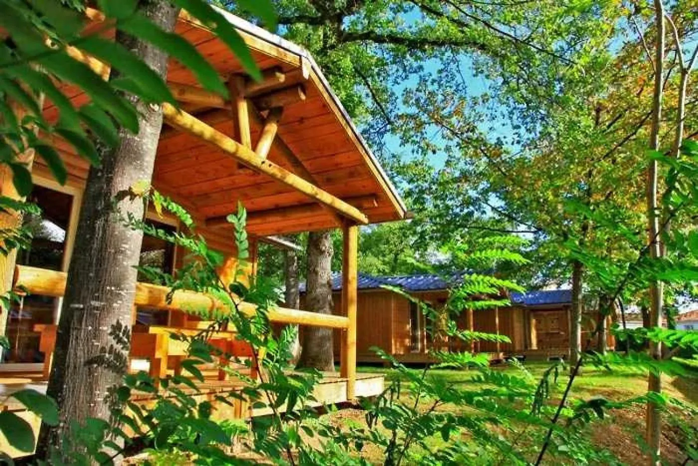 Chalet 4 Etoiles - Piscine - Ef0Ccd Albi Franciaország